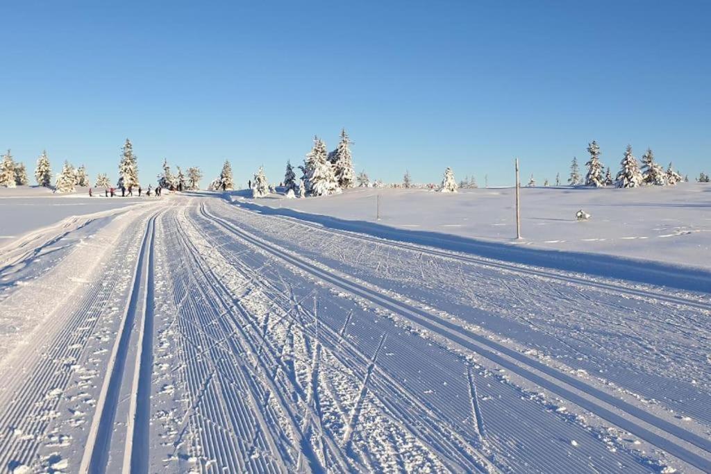 Leilighet Med Panoramautsikt Sjusjoen Innendors Parkering Exterior foto